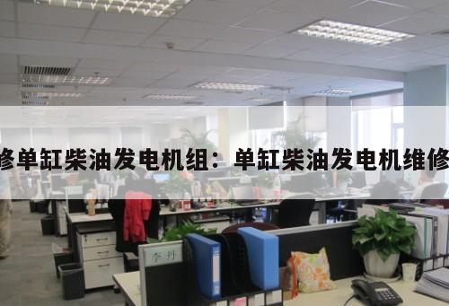 修單缸柴油發電機組：單缸柴油發電機維修 